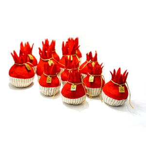 «XPYΣΟ-KOKKINO» ΡΟΔΙ ΦΛΟΓΙΤΣΑ