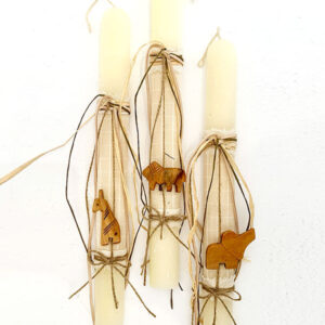 ΛΑΜΠΑΔΑ JUNGLE